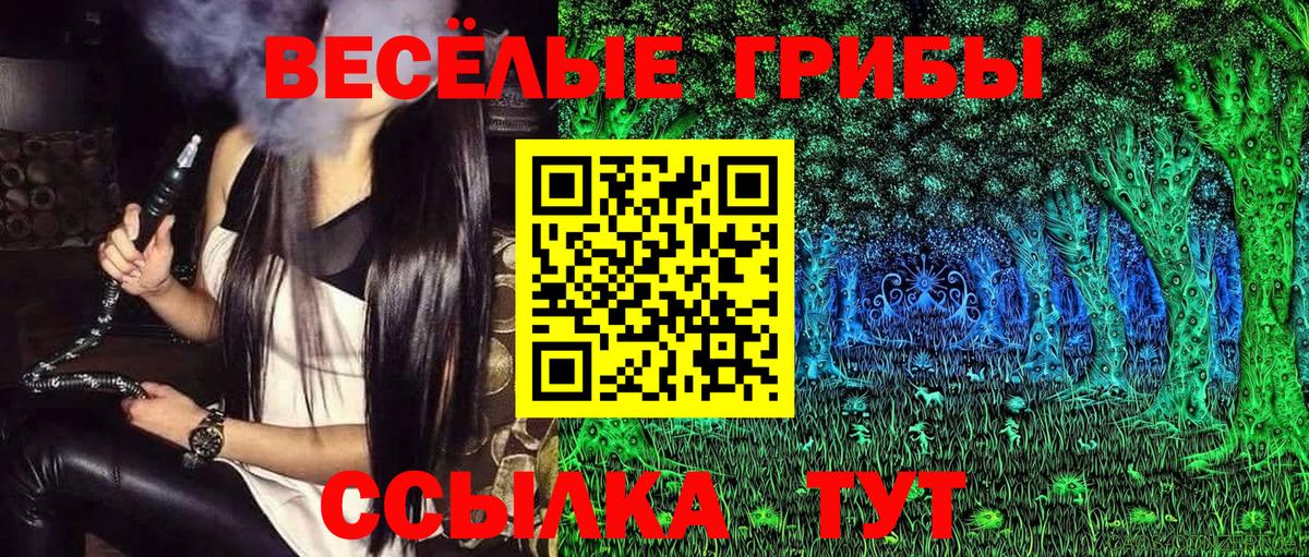 Псилоцибиновые грибы GOLDEN TEACHER  Вход с VPN  Луховицы 