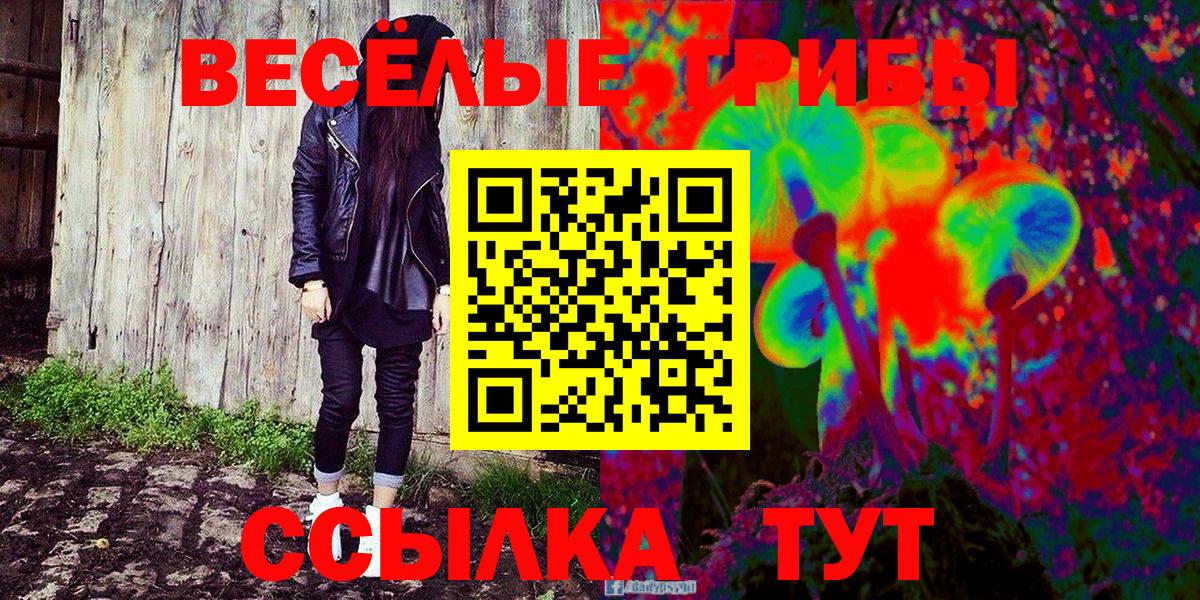 Псилоцибиновые грибы Cubensis Луховицы