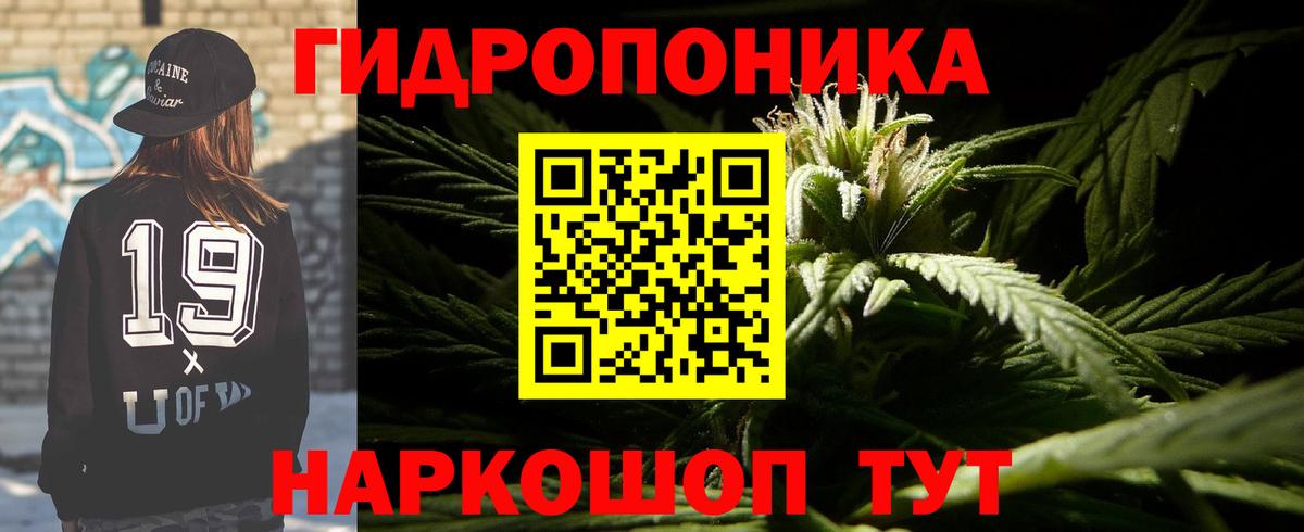 Бошки Шишки ГИДРОПОН  Каннабис Ganja  Луховицы  Бошки Шишки сатива  Вход с VPN  Шишки марихуана Amnesia 